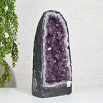 Load image into Gallery viewer, Natural Amethyst Geode 11.40kg - Raw Crystal for Healing