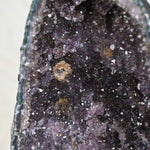 Load image into Gallery viewer, Natural Amethyst Geode 9.60kg - Raw Crystal for Healing