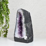 Load image into Gallery viewer, Natural Amethyst Geode 6.20kg - Raw Crystal for Healing