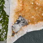 Load image into Gallery viewer, Natural Citrine Cluster 12.30kg – Healing Stone for Abundance & Positive Energy