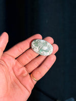 Load image into Gallery viewer, Natural Variscite 11.84g – Chakra Healing Crystal