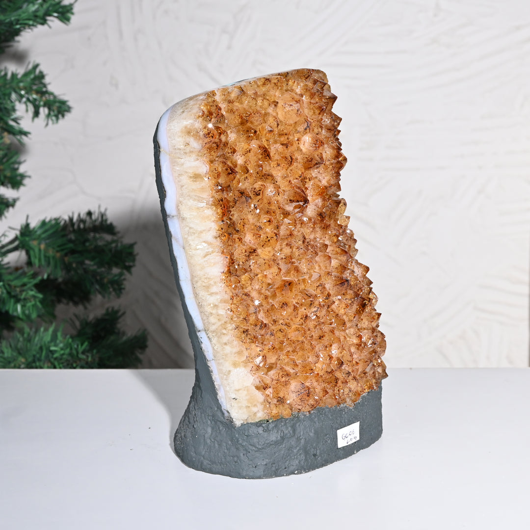 Natural Citrine Geode Cluster 6.10kg – Large Healing & Abundance Crystal