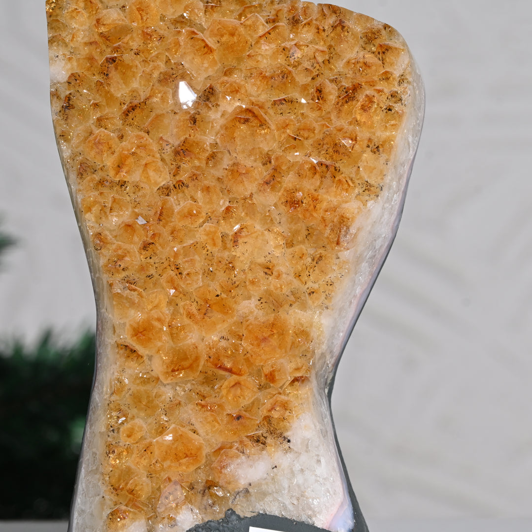 Natural Citrine Geode Cluster 2.25kg – Wealth & Positive Energy Crystal Decor