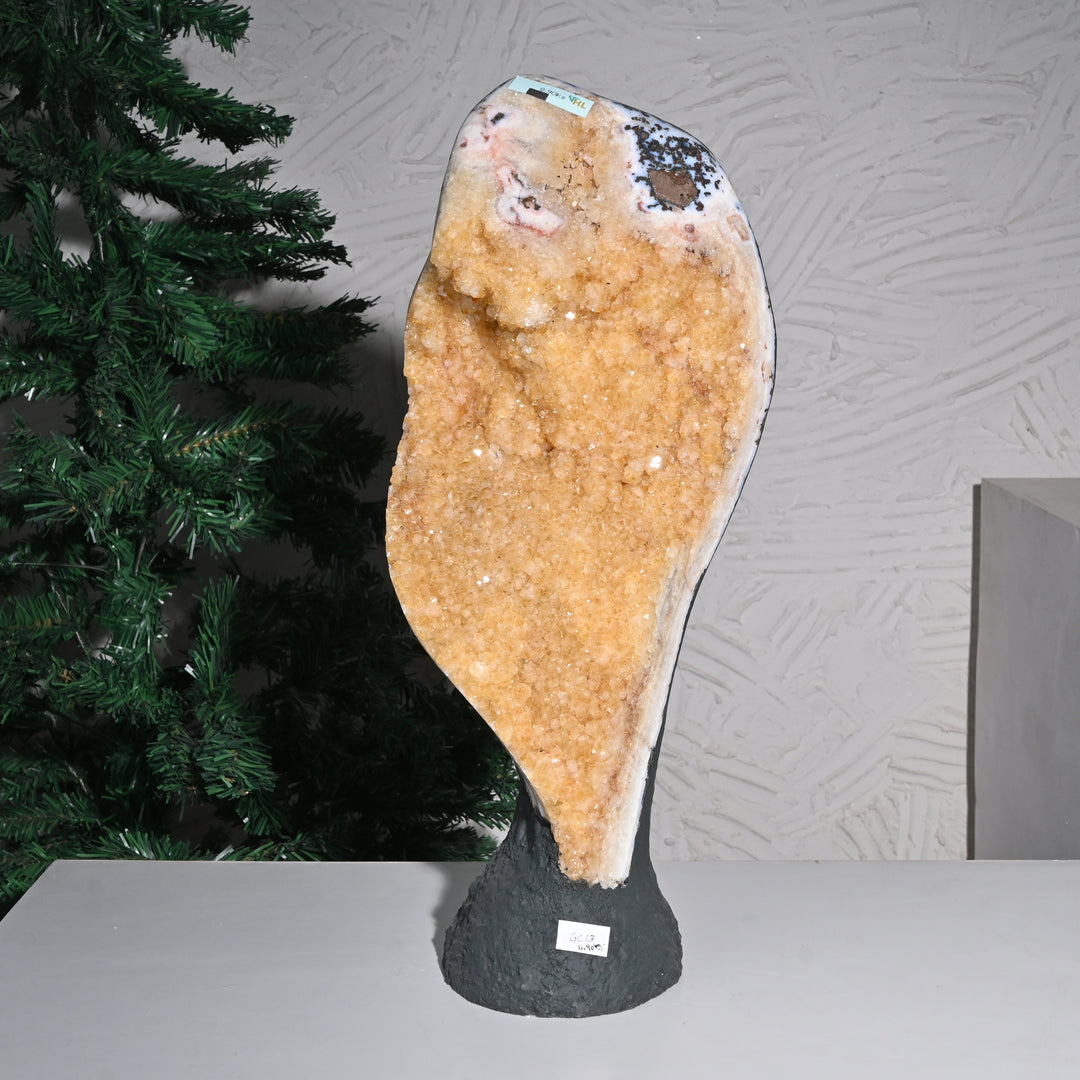 Natural Citrine Geode Cluster 8.90kg – Giant Wealth Attraction Crystal Cave