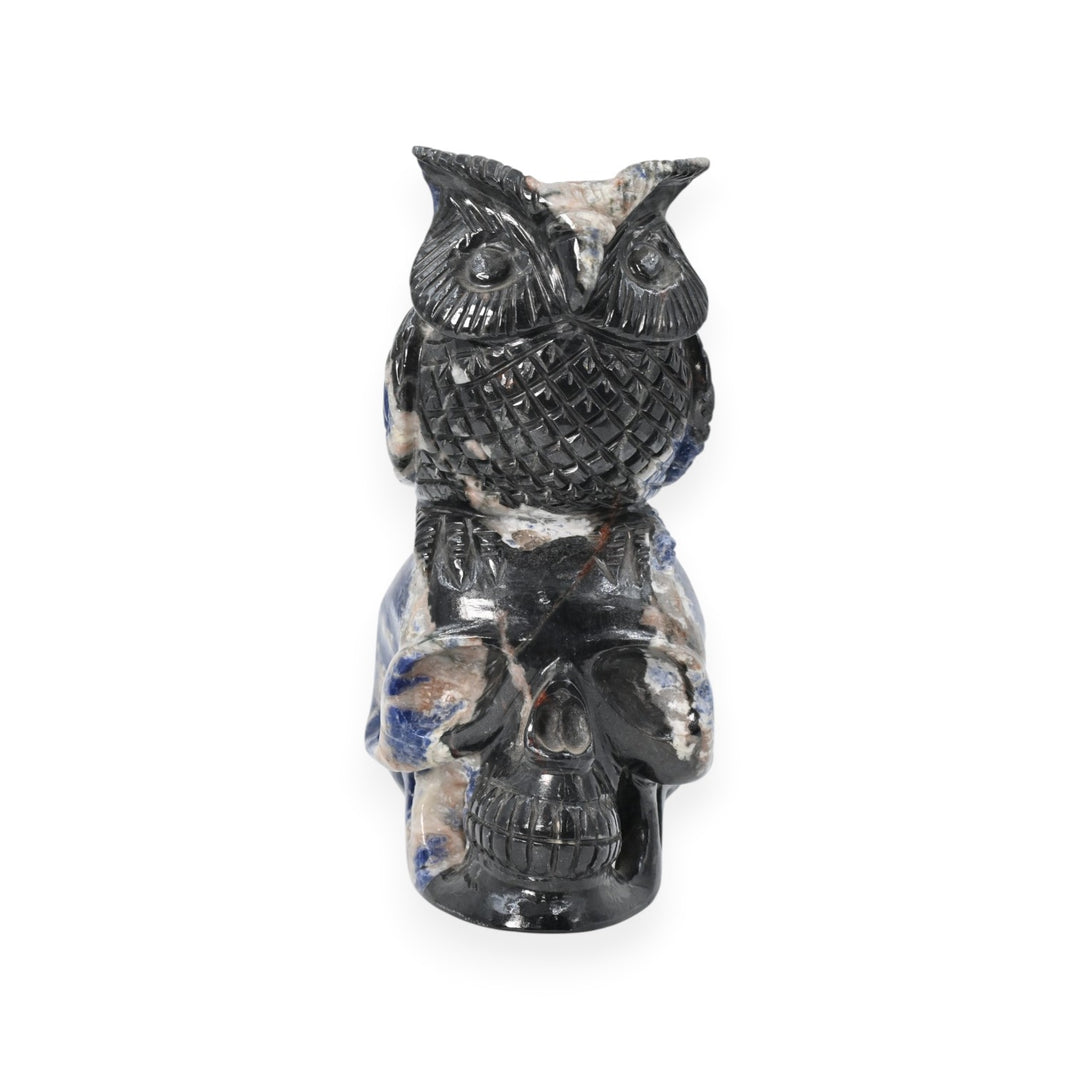 Sodalite Owl Skull Carving 1352.8g – Hand Carved Decorative Owl Skull Statue