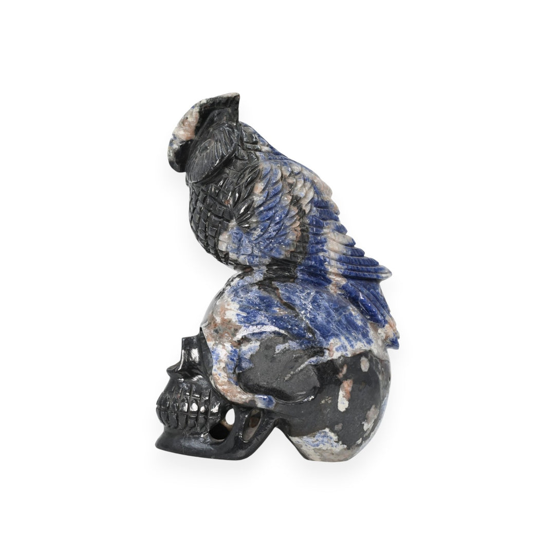 Sodalite Owl Skull Carving 1352.8g – Hand Carved Decorative Owl Skull Statue