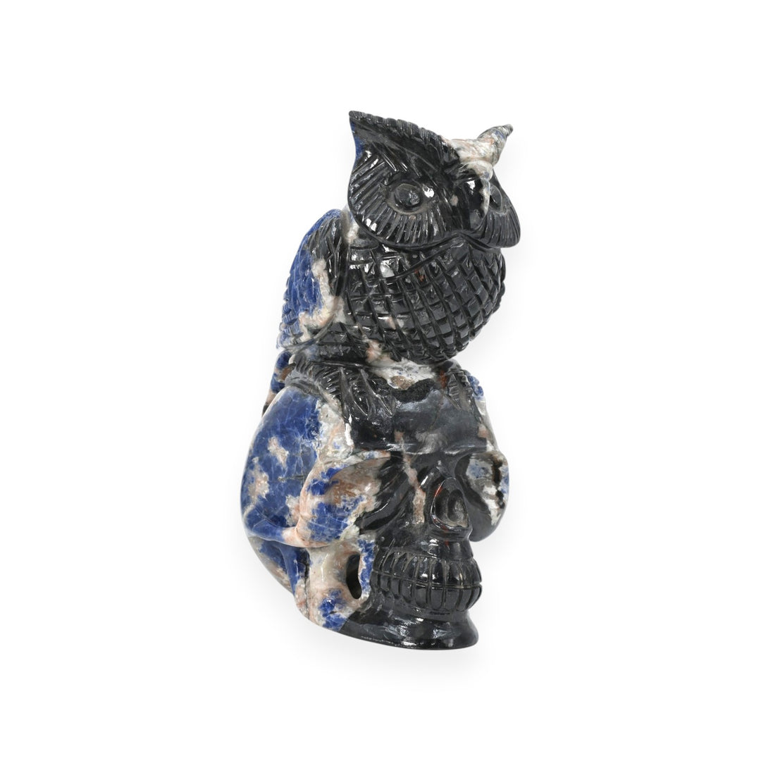 Sodalite Owl Skull Carving 1352.8g – Hand Carved Decorative Owl Skull Statue