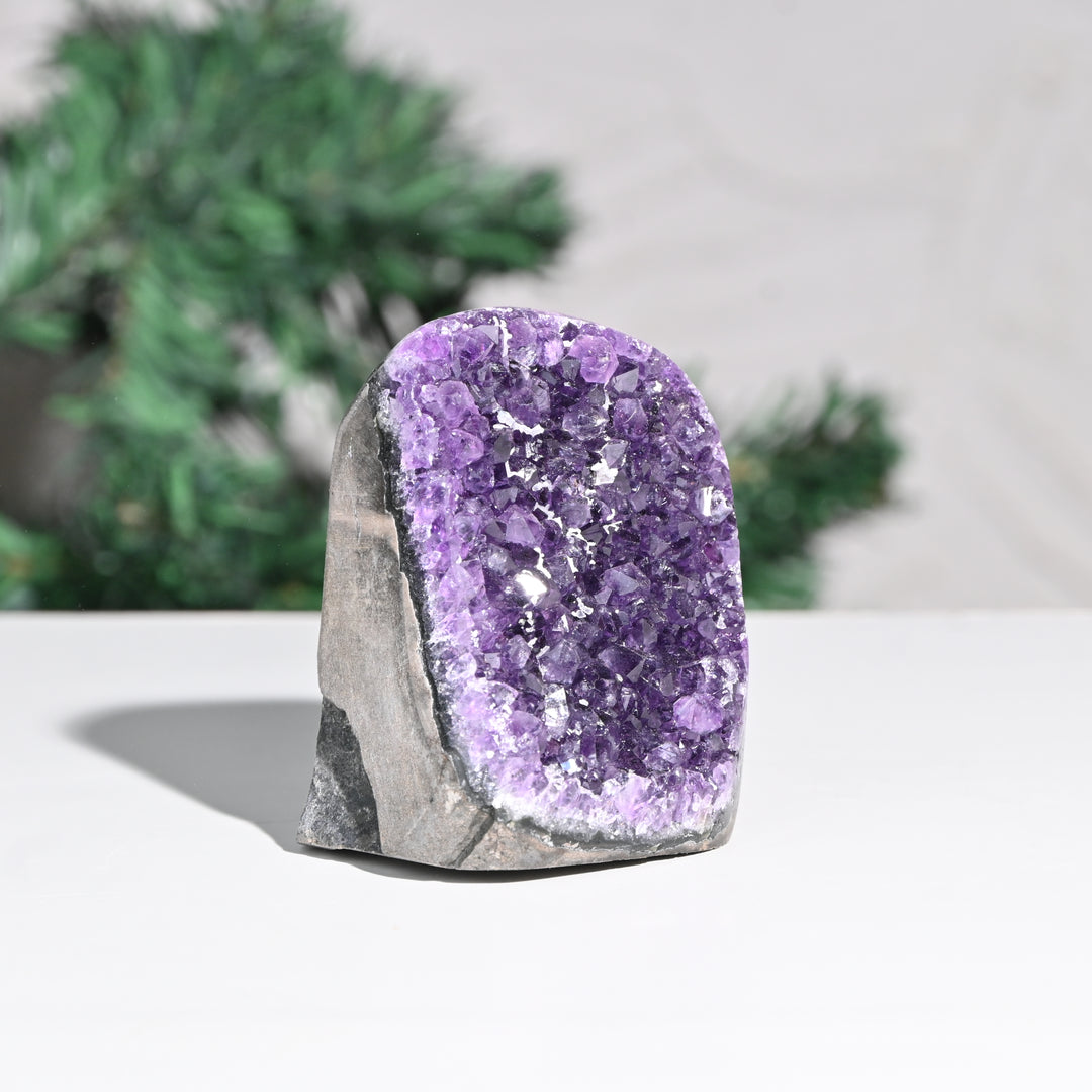 Amethyst Geode  - 455g