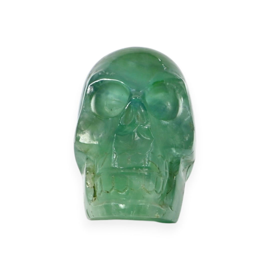Green Fluorite Skull 209g – Decorative Crystal Skull for Focus & Clarity