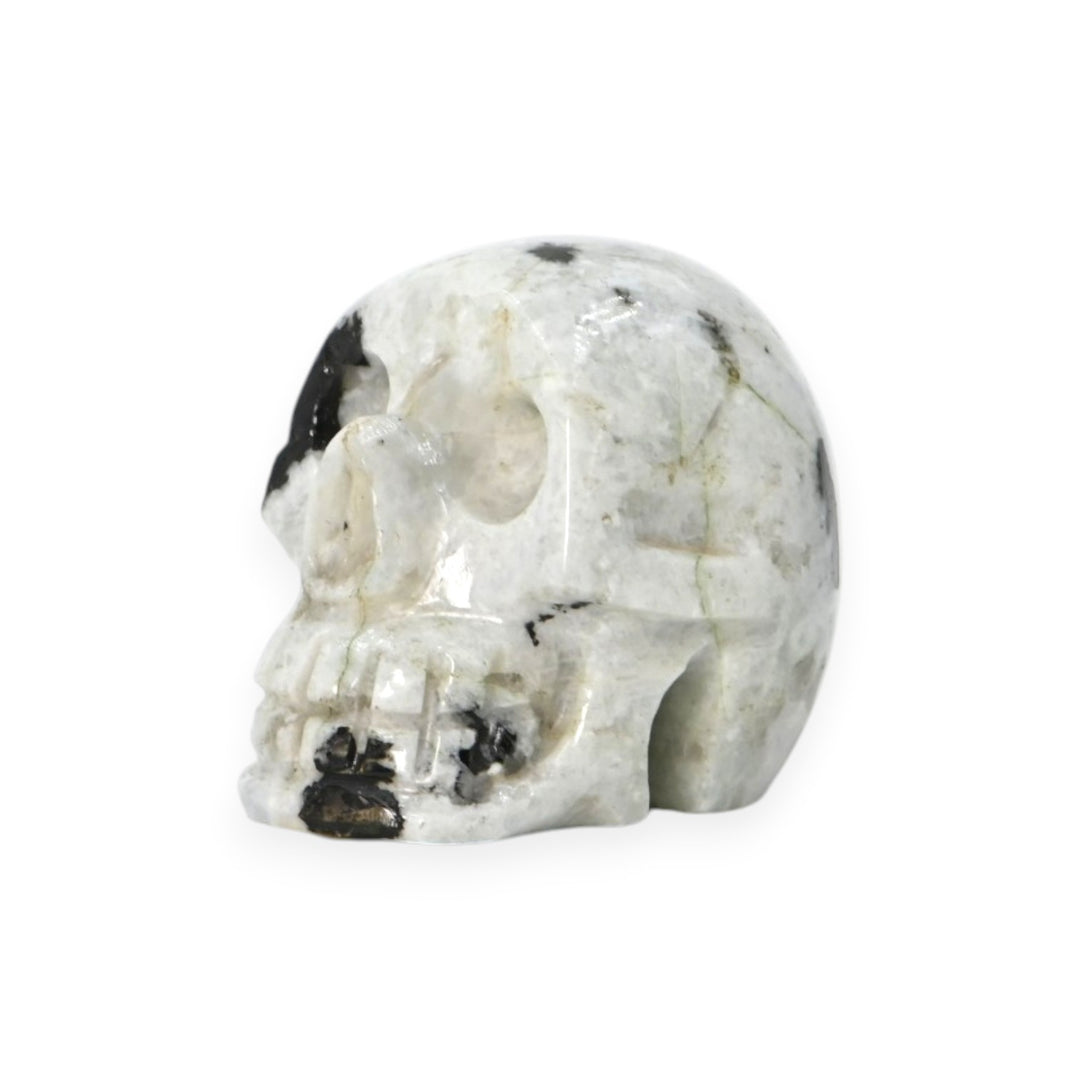 Rainbow Moonstone Skull 76g – Mystic Stone Skull for Intuition & Decor
