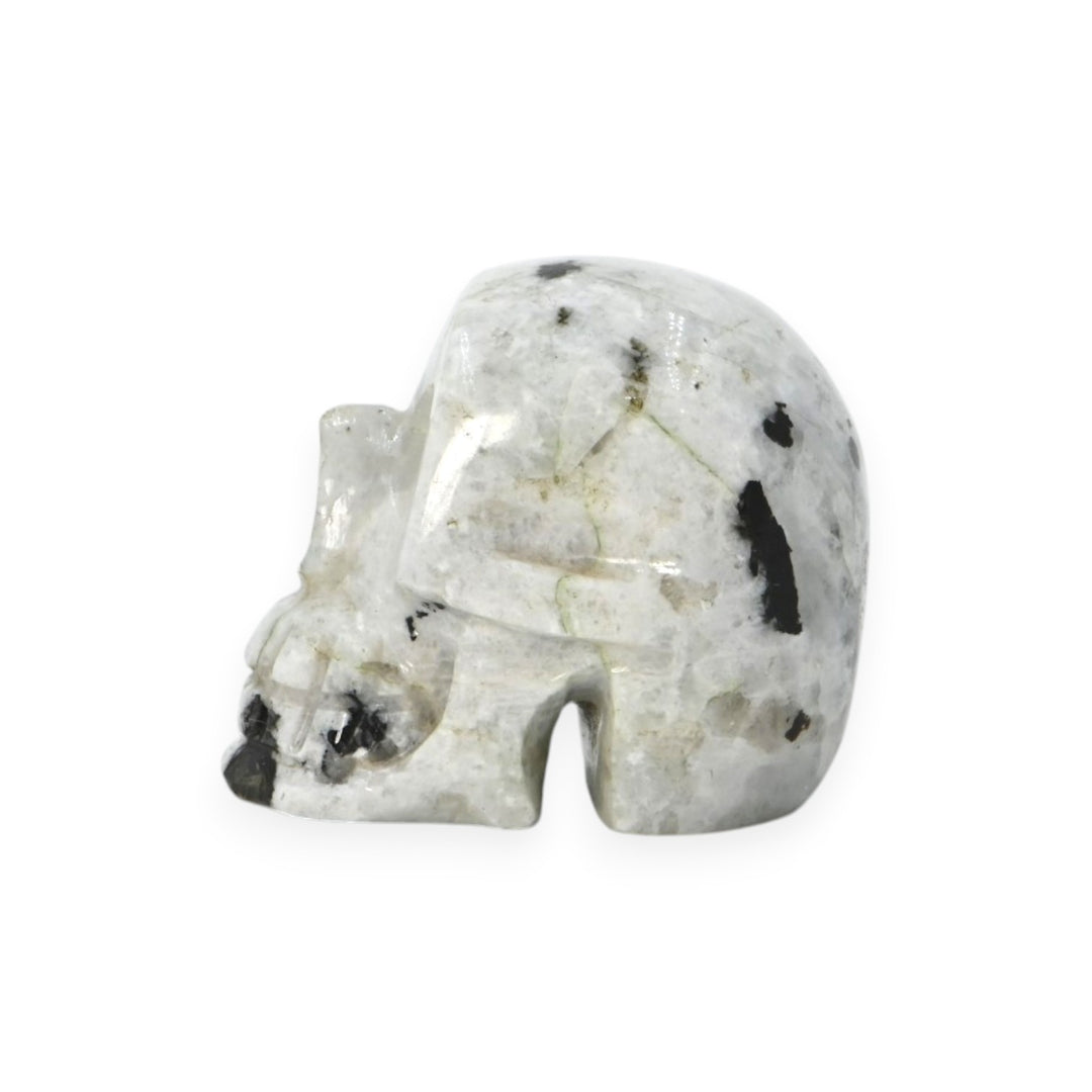 Rainbow Moonstone Skull 76g – Mystic Stone Skull for Intuition & Decor