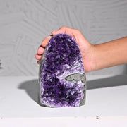 Amethyst Geode - 1451g