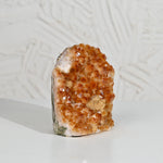 Load image into Gallery viewer, Natural Citrine Geode 1208g – Raw Healing Crystal for Wealth &amp; Positive Energy