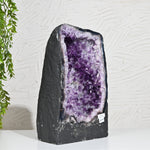 Load image into Gallery viewer, Natural Amethyst Geode 14.60kg - Raw Crystal for Healing