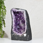 Load image into Gallery viewer, Natural Amethyst Geode 14.60kg - Raw Crystal for Healing