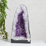 Load image into Gallery viewer, Natural Amethyst Geode 12.80kg - Raw Crystal for Healing