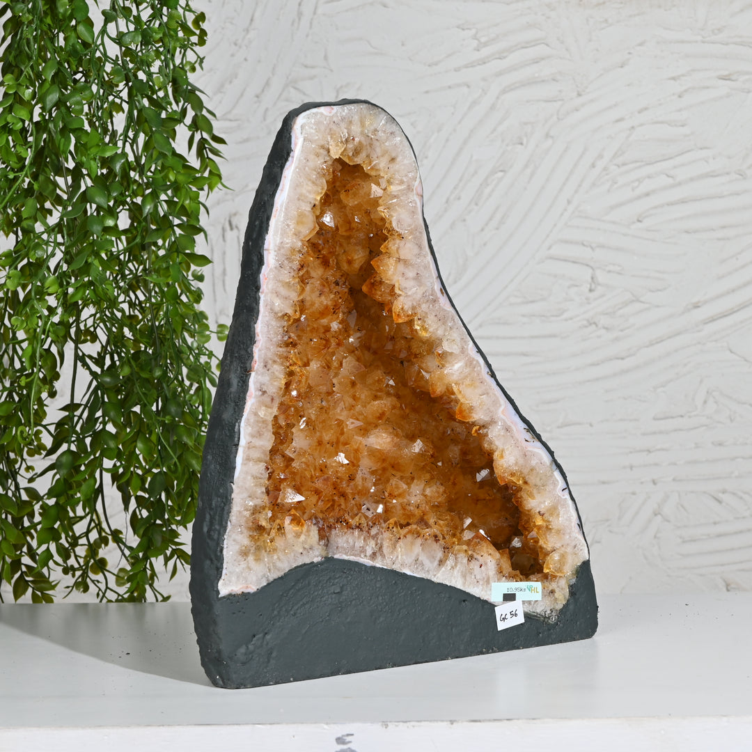 Premium Citrine Cluster 10.95kg – Natural Healing Crystal for Home & Office Positivity