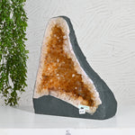 Load image into Gallery viewer, Premium Citrine Cluster 10.95kg – Natural Healing Crystal for Home &amp; Office Positivity