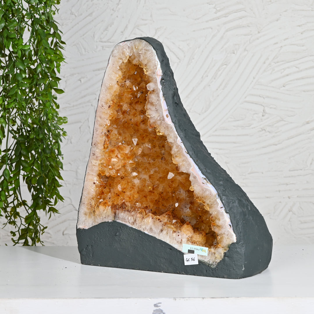 Premium Citrine Cluster 10.95kg – Natural Healing Crystal for Home & Office Positivity