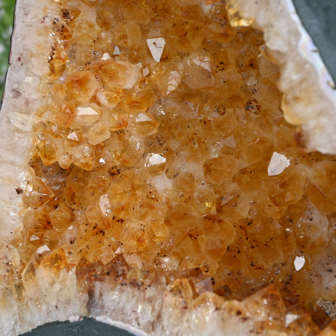 Premium Citrine Cluster 10.95kg – Natural Healing Crystal for Home & Office Positivity