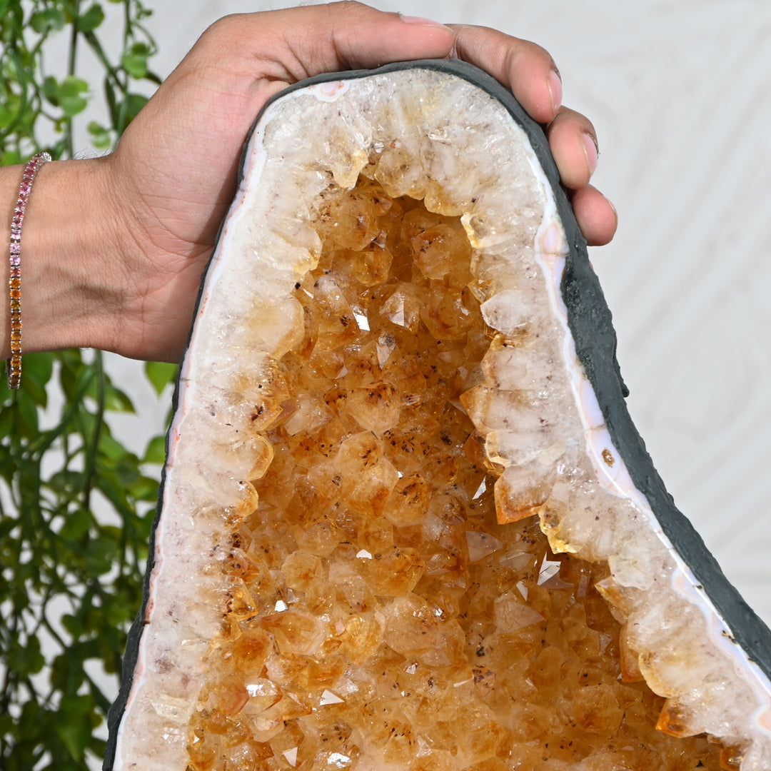 Premium Citrine Cluster 10.95kg – Natural Healing Crystal for Home & Office Positivity