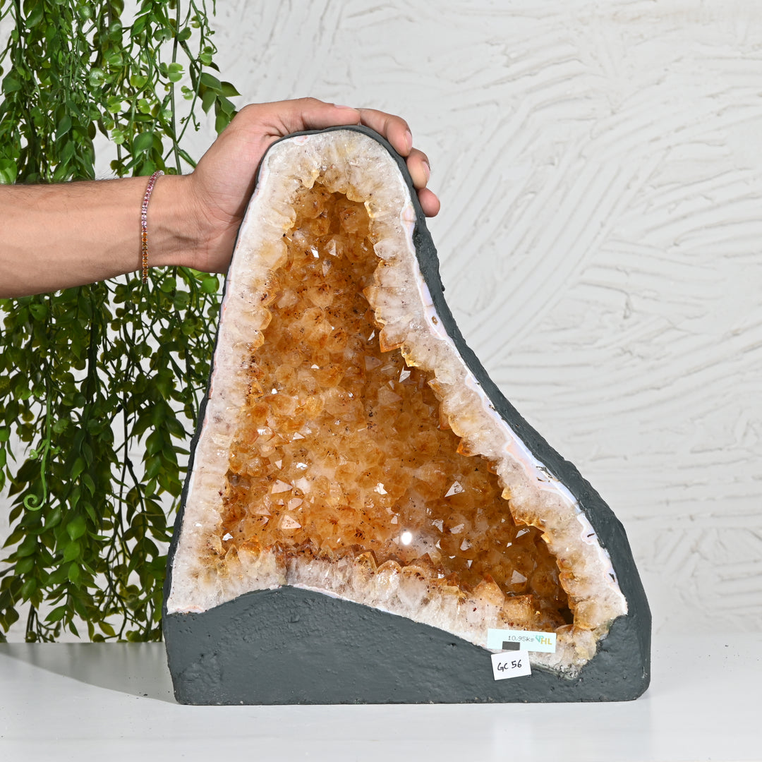 Premium Citrine Cluster 10.95kg – Natural Healing Crystal for Home & Office Positivity