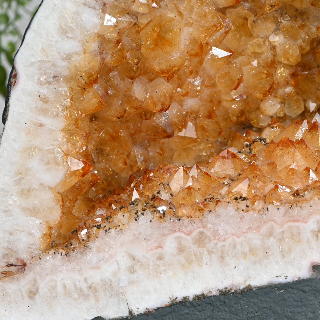 Giant Citrine Geode 21.75kg – Museum Grade Crystal for Wealth Energy & Luxury Decor