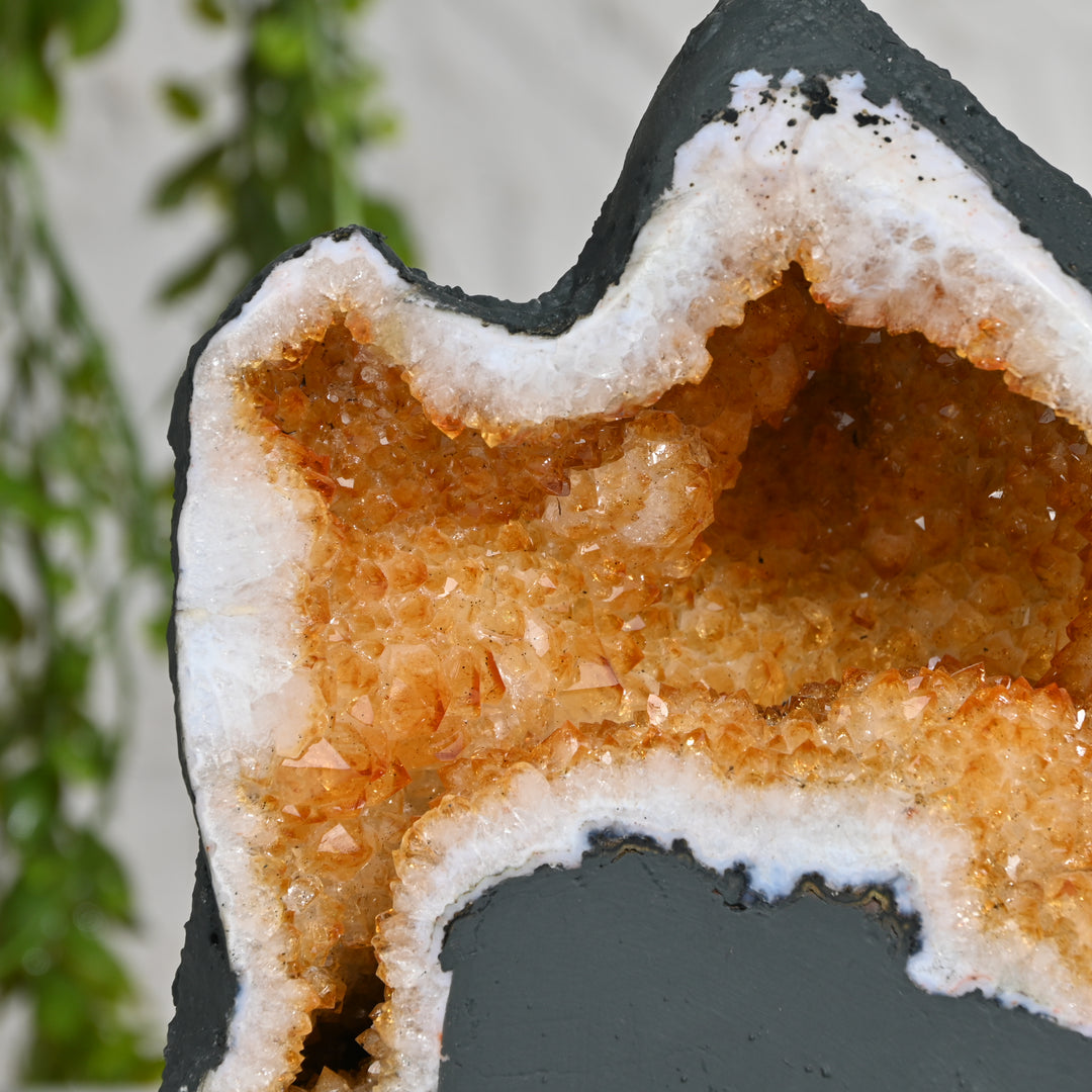 Citrine Cluster 5.35kg – Natural Crystal for Prosperity & Home Styling