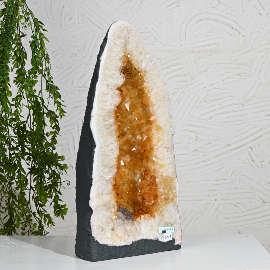Collector’s Citrine Geode 17.25kg – Rare Healing Crystal for Grand Spaces
