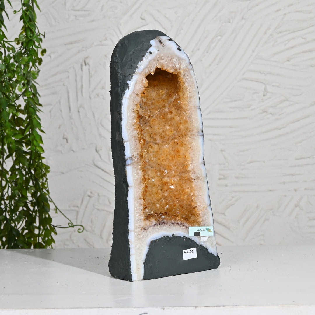 Citrine Geode 4.70kg – Raw Crystal Cluster for Healing & Positivity
