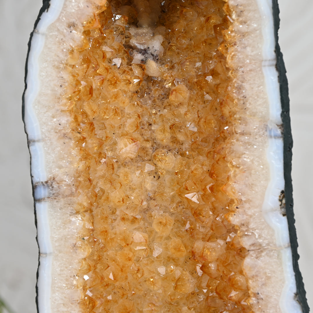 Citrine Geode 4.70kg – Raw Crystal Cluster for Healing & Positivity