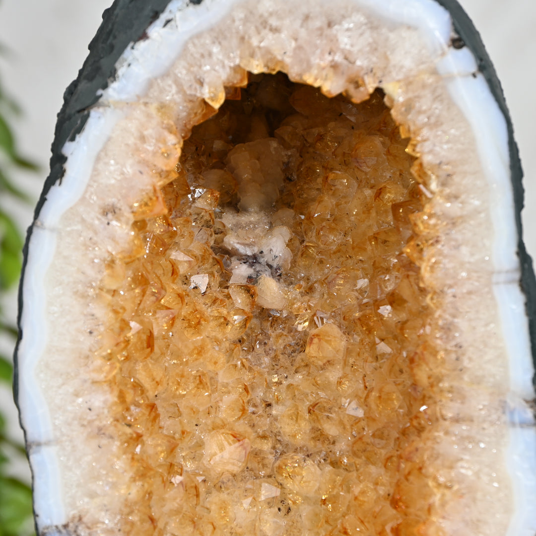 Citrine Geode 4.70kg – Raw Crystal Cluster for Healing & Positivity