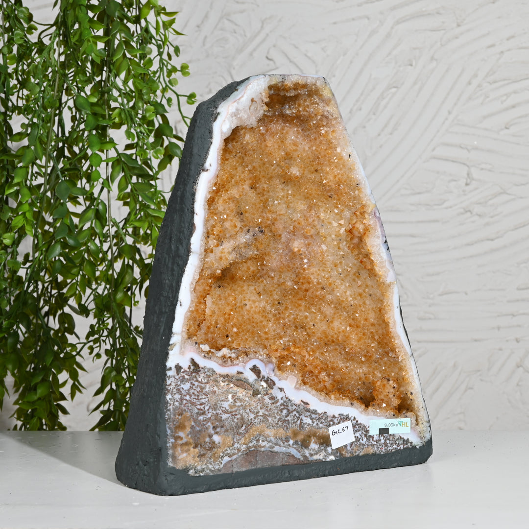Citrine Energy Stone 8.50kg – Natural Wealth Crystal for Abundance