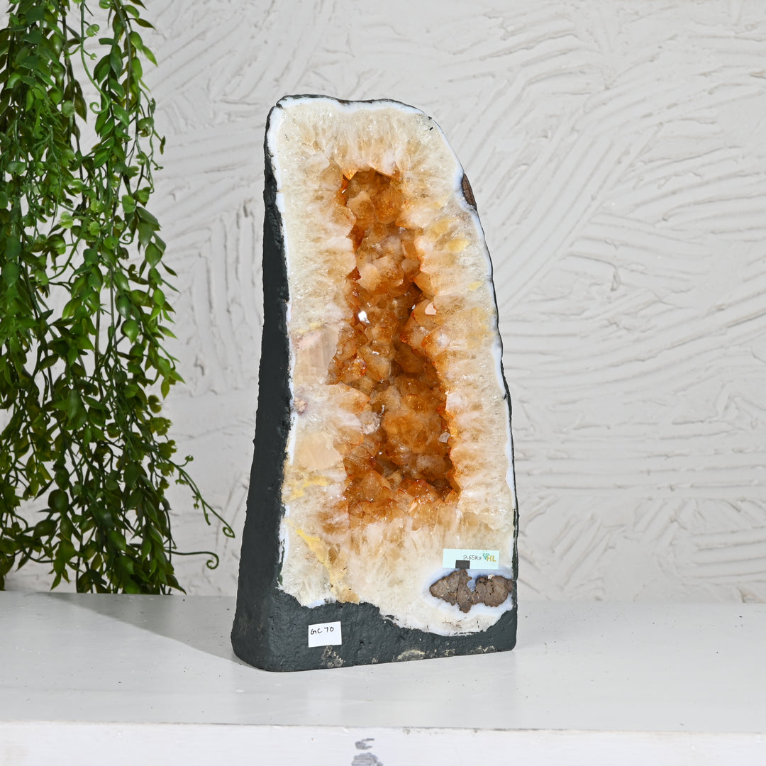 Large Citrine Cluster 9.65kg – Raw Healing Stone for Wealth Attraction