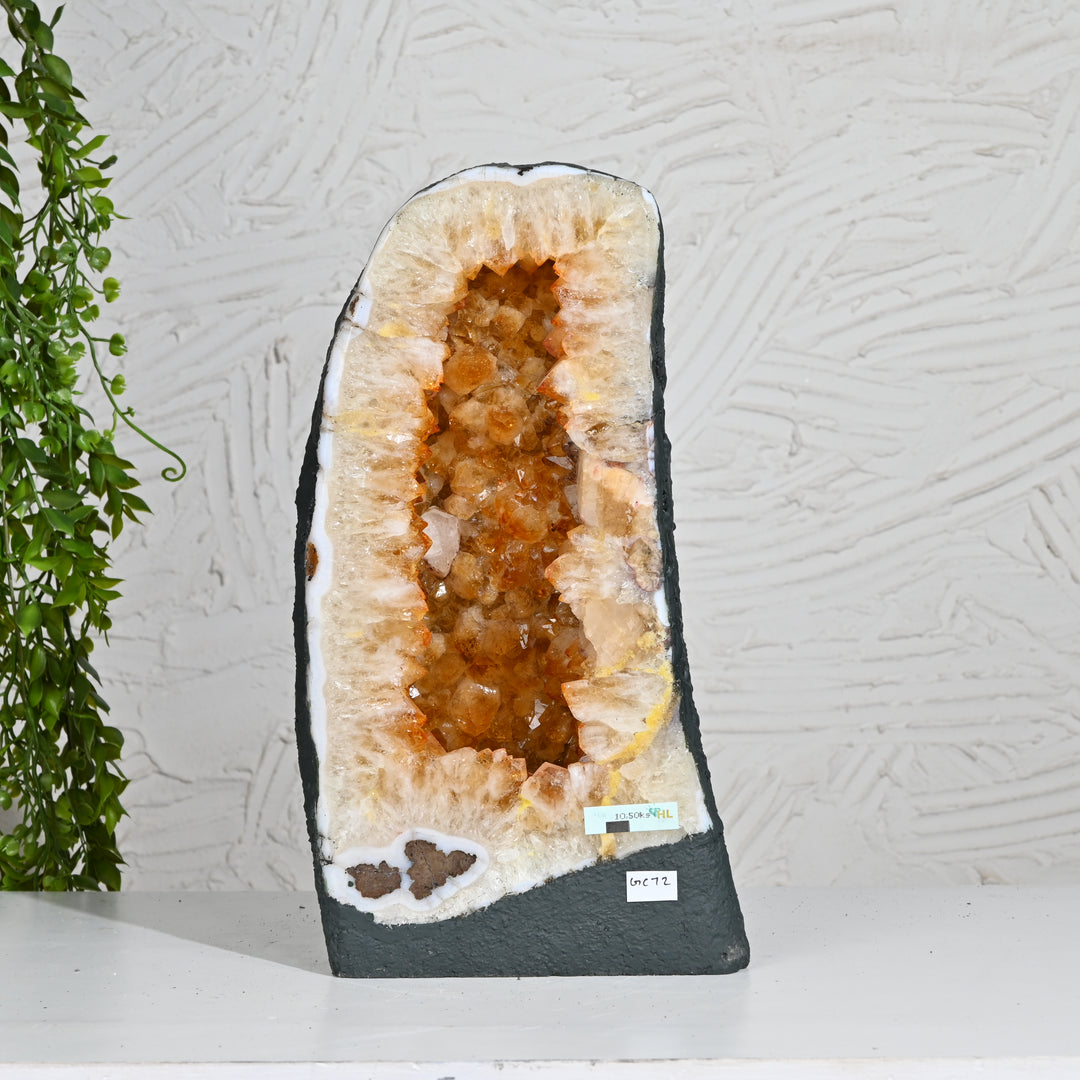 Citrine Crystal Formation 10.50kg – Natural Healing Stone for Prosperity