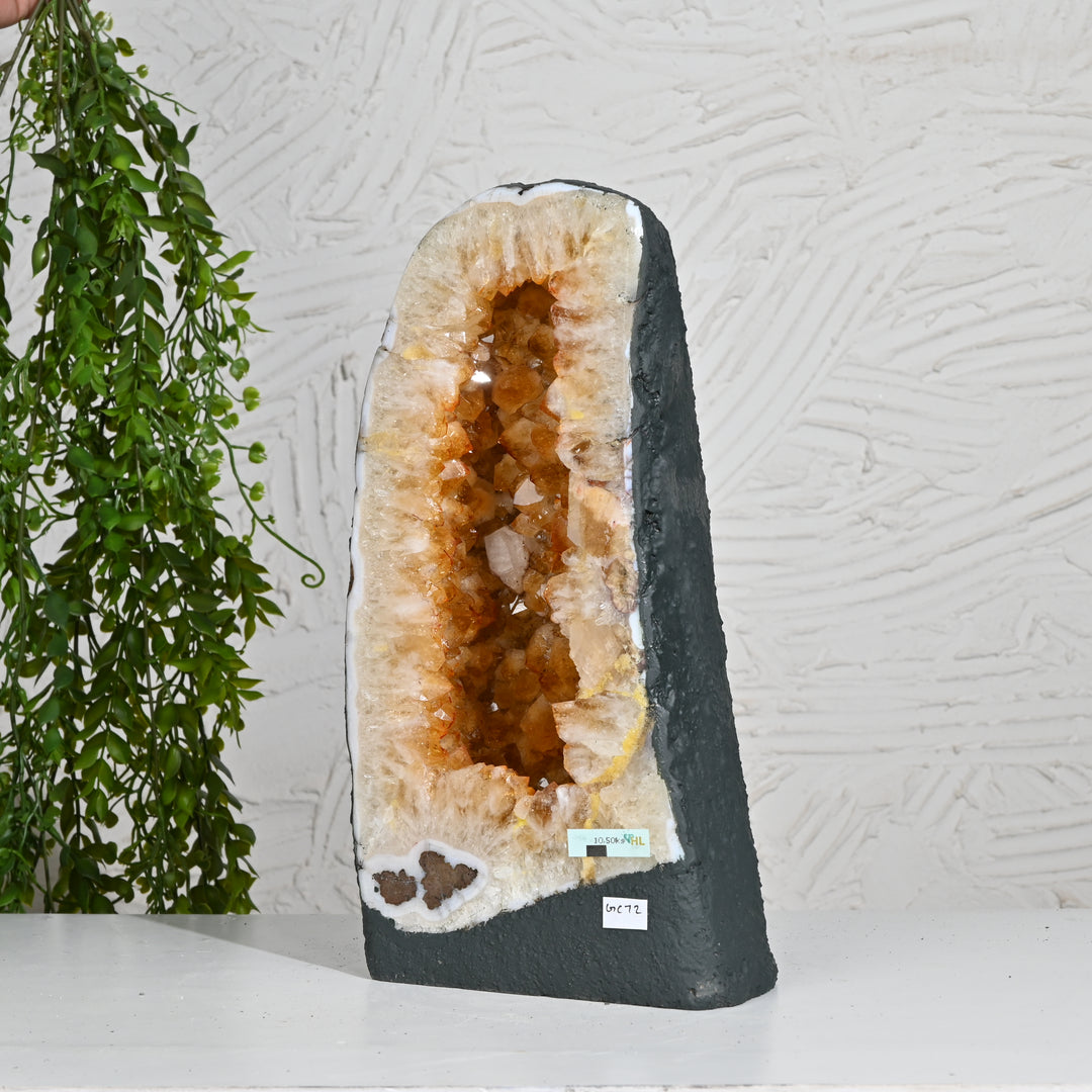 Citrine Crystal Formation 10.50kg – Natural Healing Stone for Prosperity