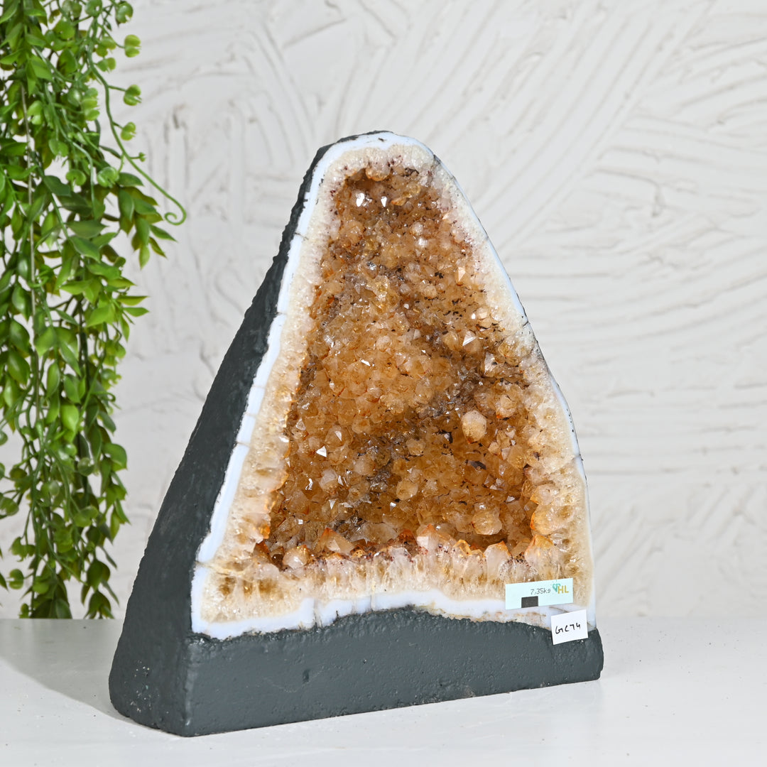Premium Citrine Cluster 7.35kg – Healing Crystal Stone for Home Positivity