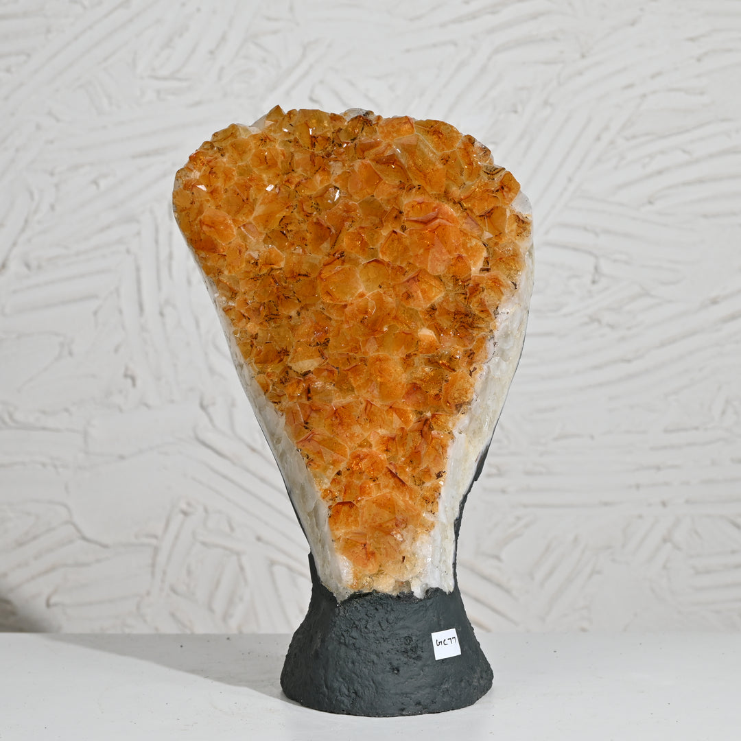 Citrine Geode 7.20kg – Premium Natural Crystal for Wealth & Home Styling