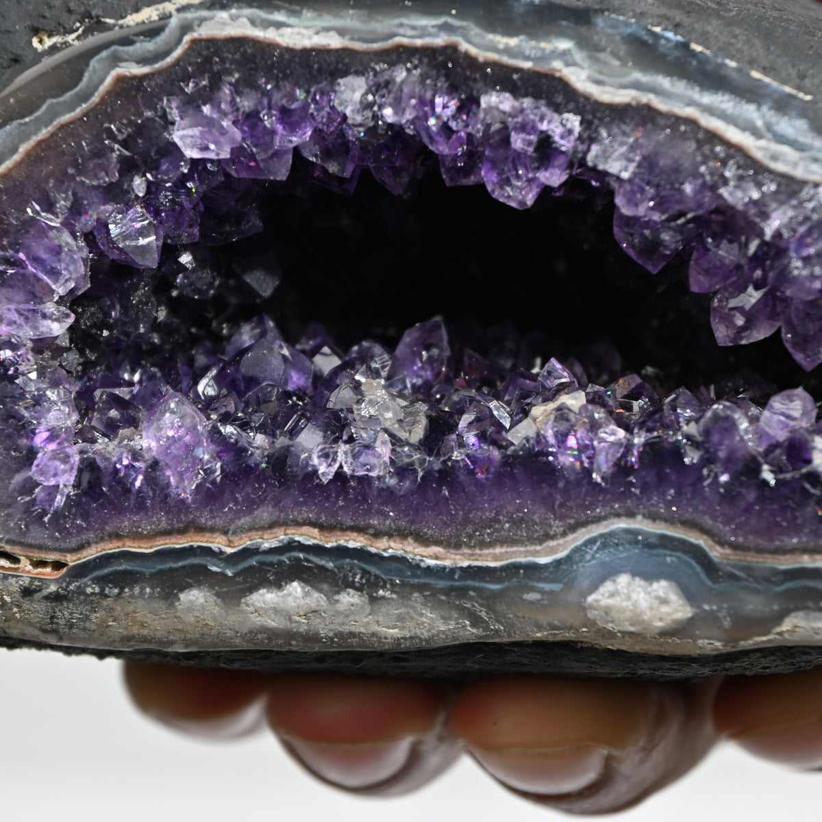 Amethyst Geode