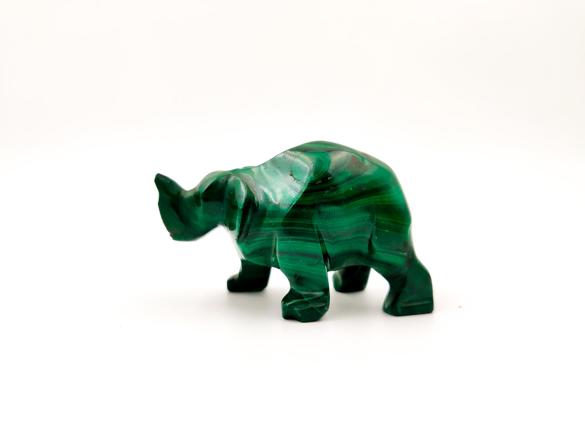 Malachite Rhino