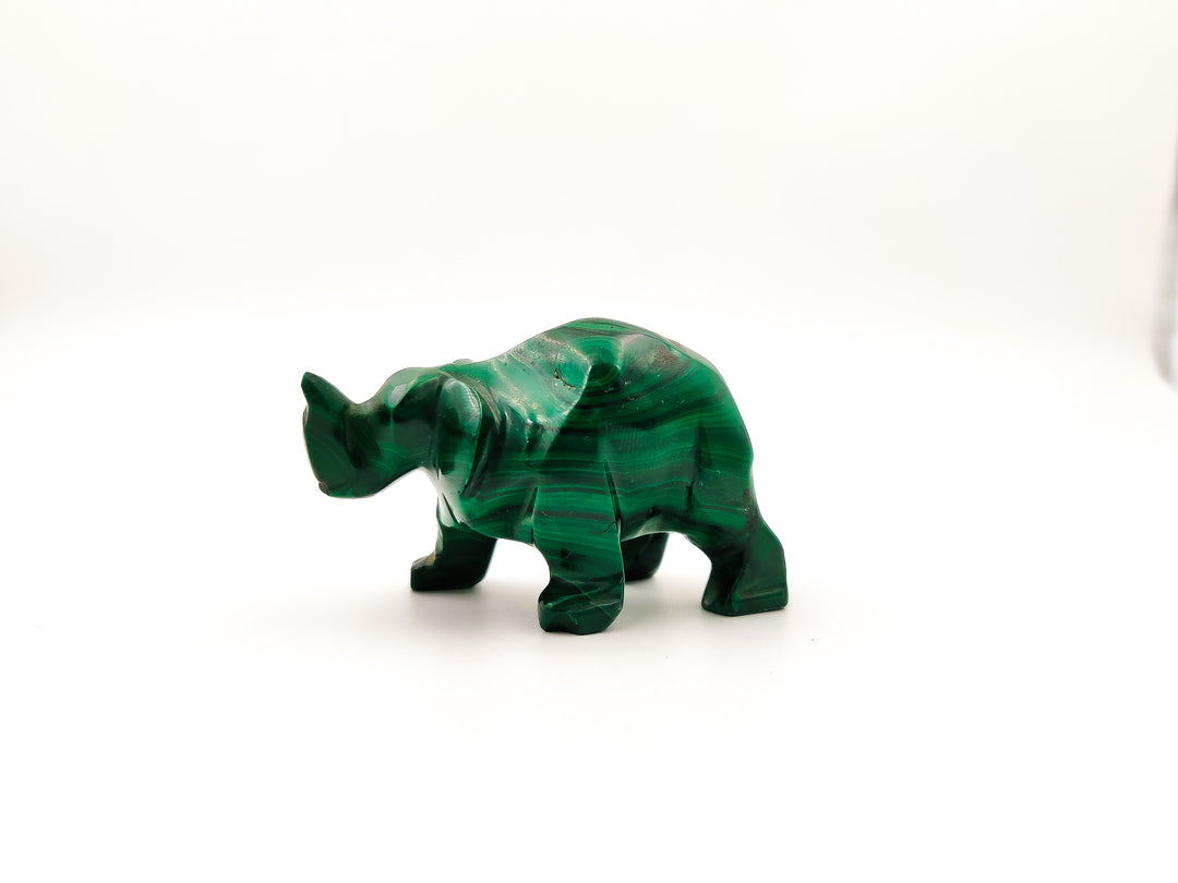 Malachite Rhino