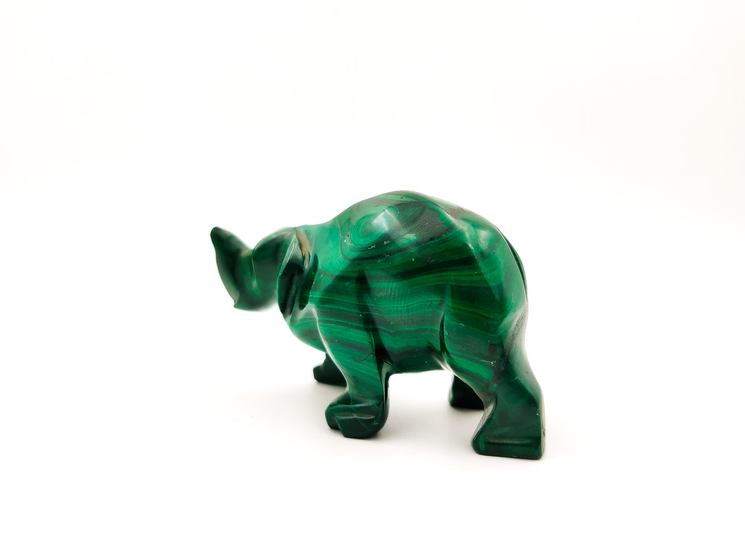 Malachite Rhino