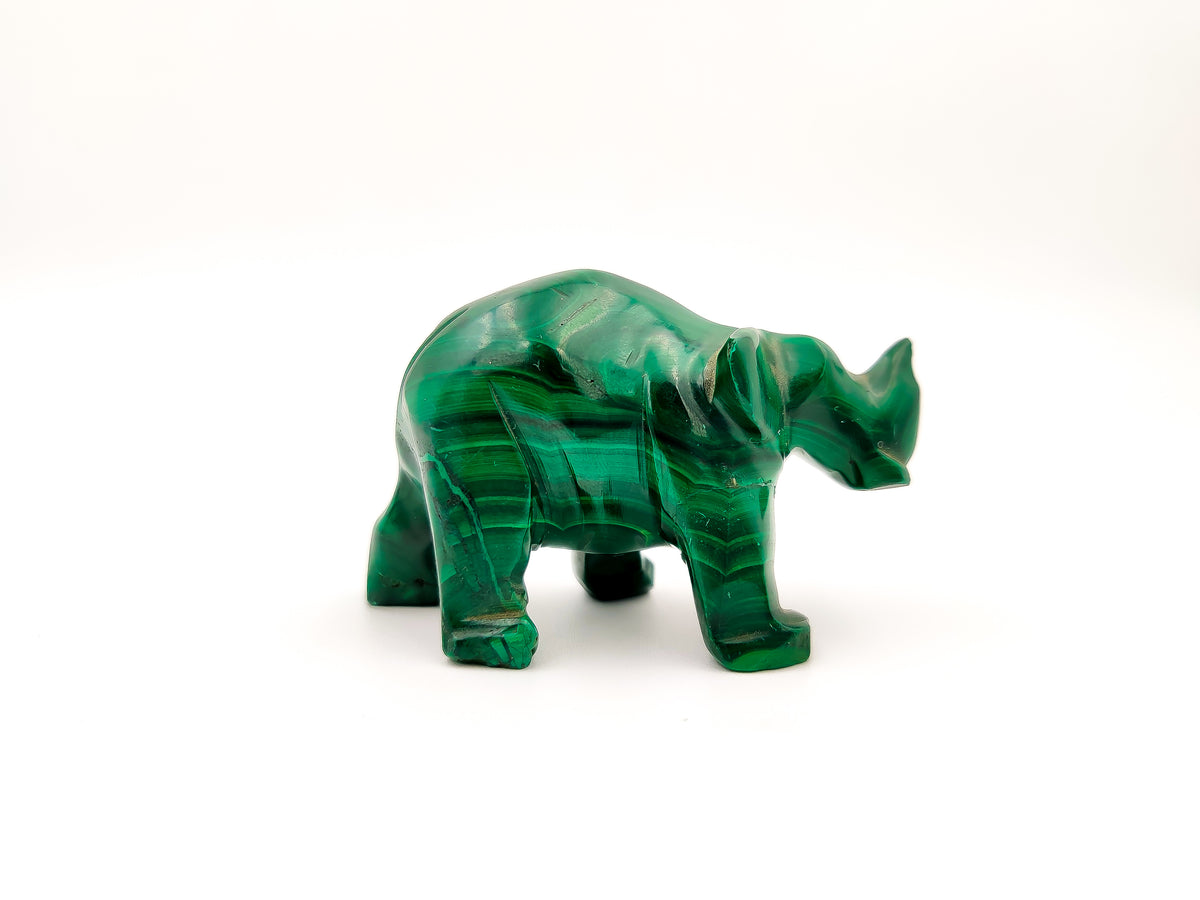 Malachite Rhino