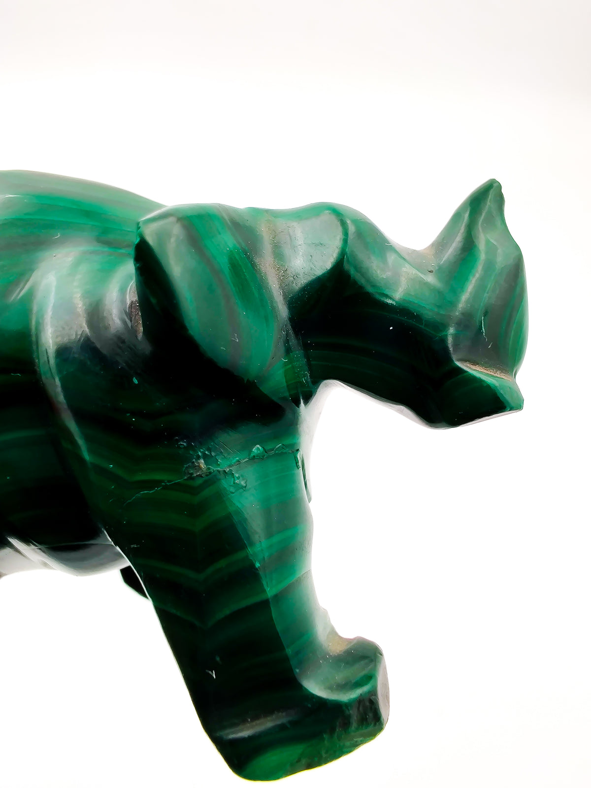 Malachite Rhino