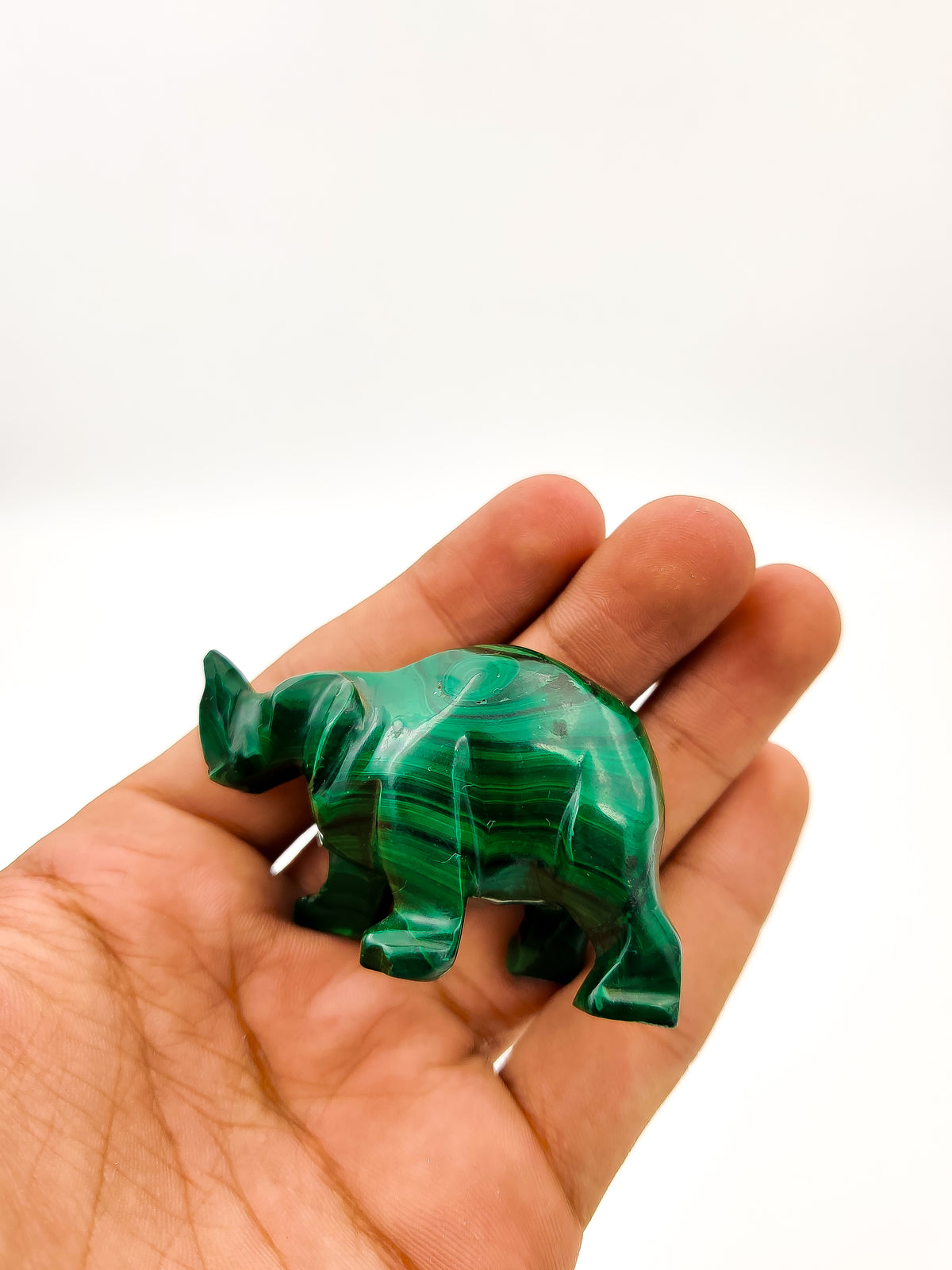 Malachite Rhino