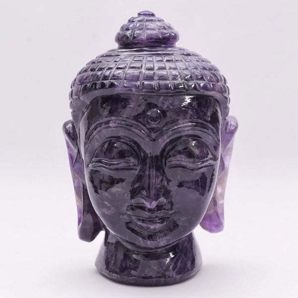 Amethyst Buddha – Vibrating Crystals, Jaipur